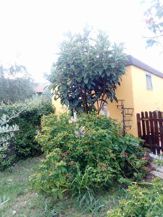 Beb Da Tina Roccasecca Exterior foto